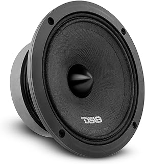 DS18 PRO-ZXI6.4BM 6.5" Pro Audio Midrange Loudspeaker - 600W Max, 300W RMS, 4 Ohms - Premium Quality Audio Door Speakers for Car or Truck Stereo Sound System (1 Speaker)