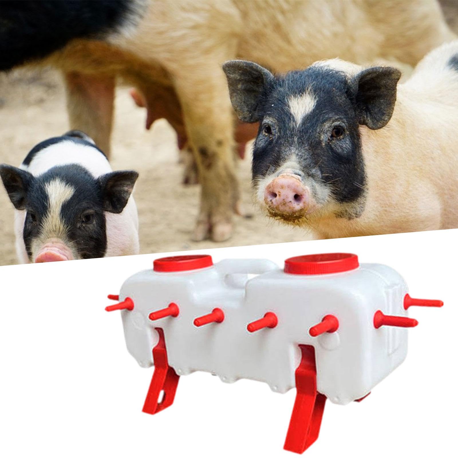 Qianly Biberón para Lechones, Comedero para Cerdos con 14 Accesorios de, Capacidad de 10 L.