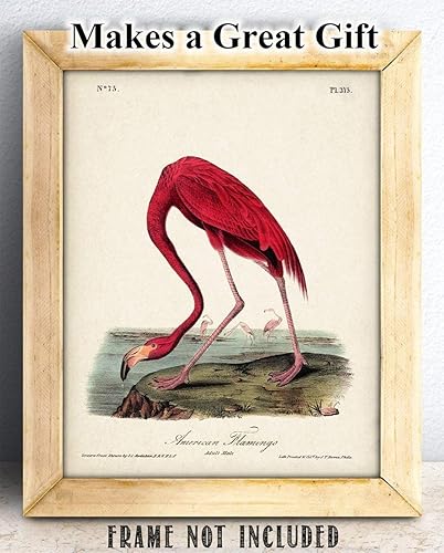 Miniatura 3 de American Flamingo Illustration - 11x14 Unframed Art Print - Great Wall Decor and Gift