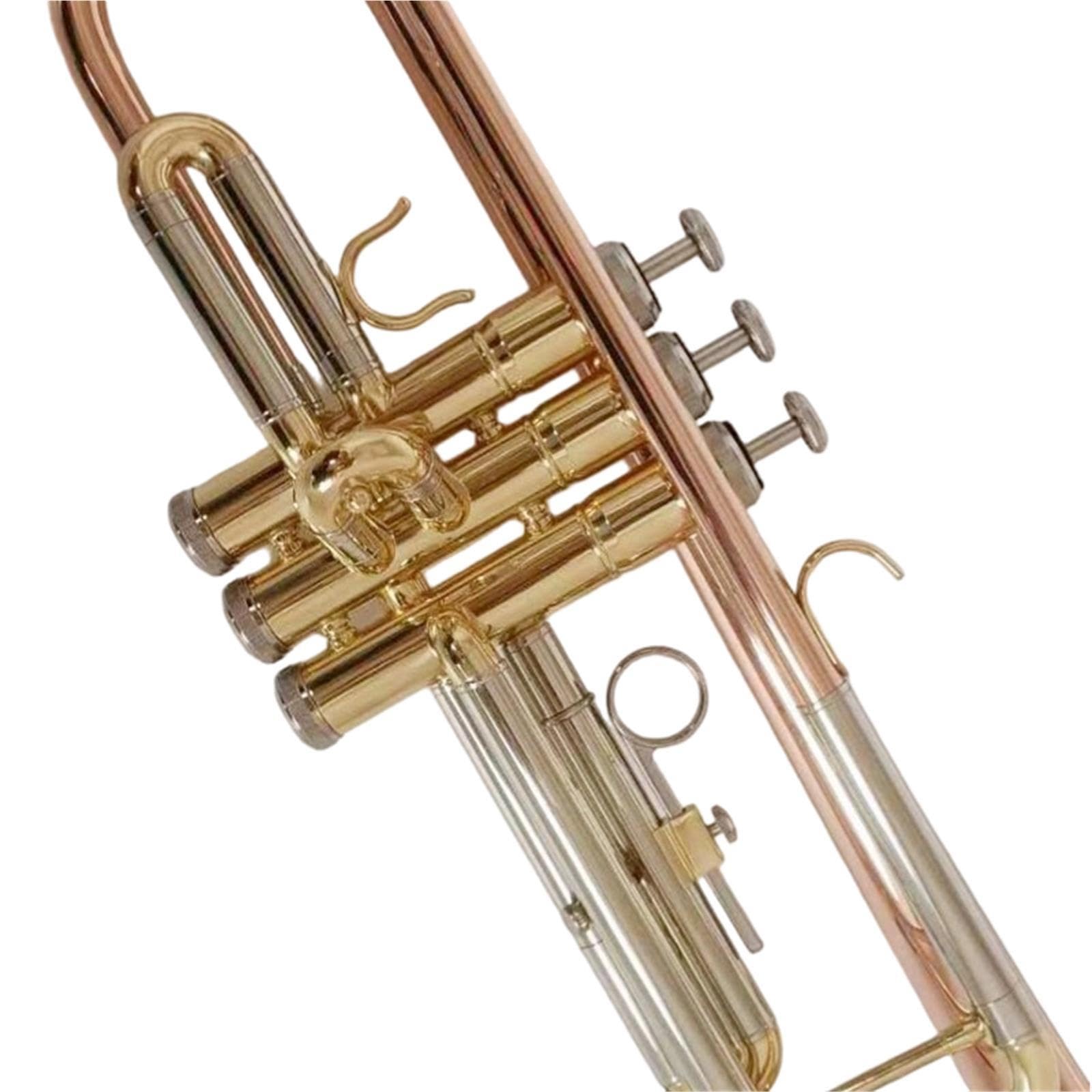 Professional Trumpet Trompeta en si bemol para principiantes