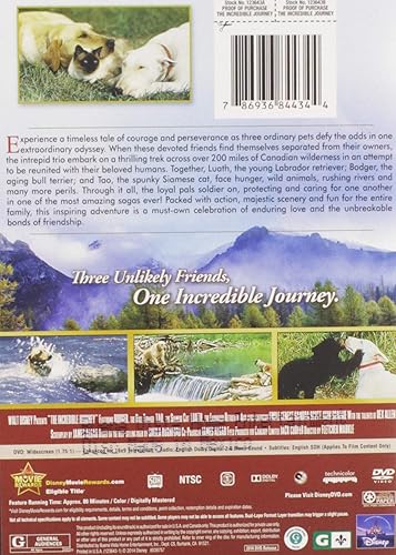 Miniatura 2 de The Incredible Journey