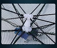 Vista 2 de 2 Pack Crawfish Trap，Crab Fish Trap,Foldable Fishing Bait Trap Cast Net Cage with 18 Feets Nylon Rope for Catching Small Bait Fish Eels Crab Lobster