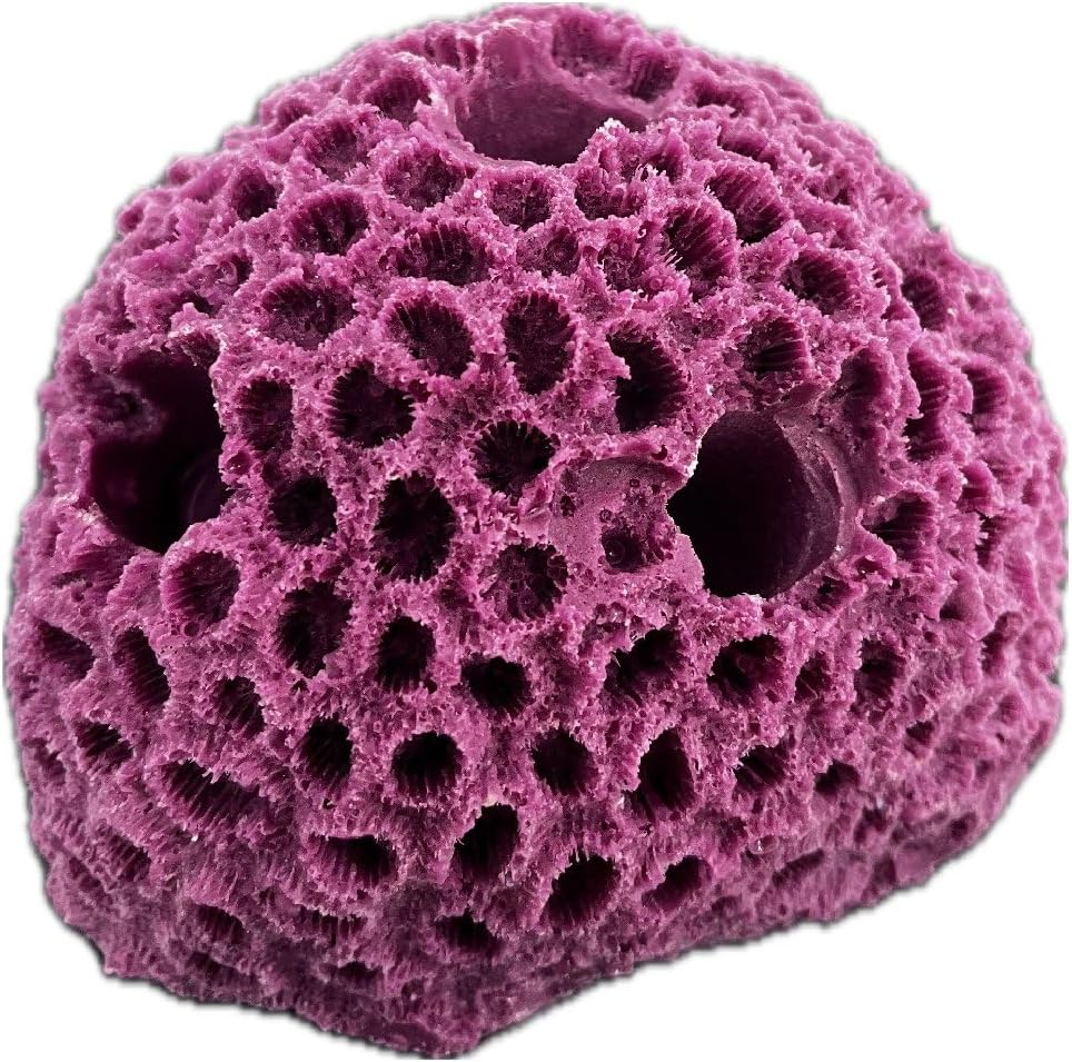 Ocean Aquaria 5 Hole Sandbed Frag Rock/Frag Rack for Live Coral Reef Aquarium Coral frags (Coralline Purple)