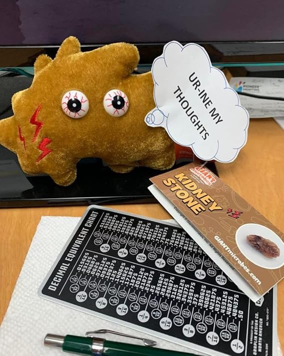 GIANT MICROBES Kidney Stone Plush, Kidney Stone Gift, Kidney Stones, Kidney Surgery Recovery Gifts, Chronic Pain, Nephrology Gifts, Urologist Doctor Gift