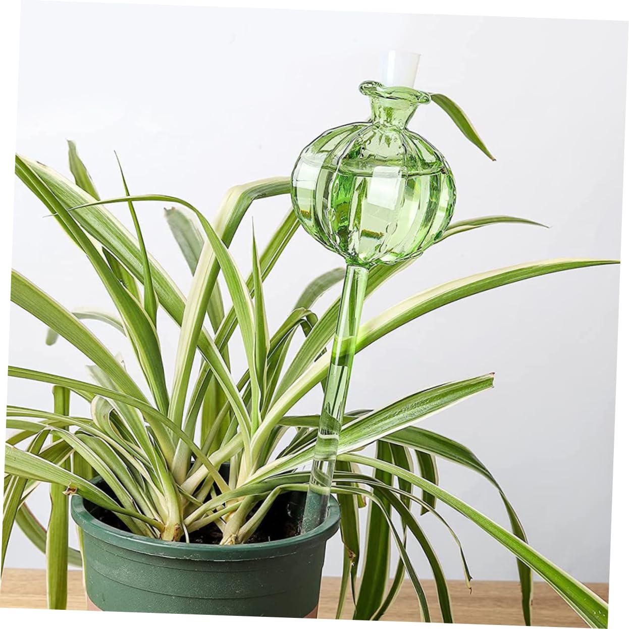 ibasenice Globe D’arrosage en Verre Cactus Vert 4 Pièces pour Plantes