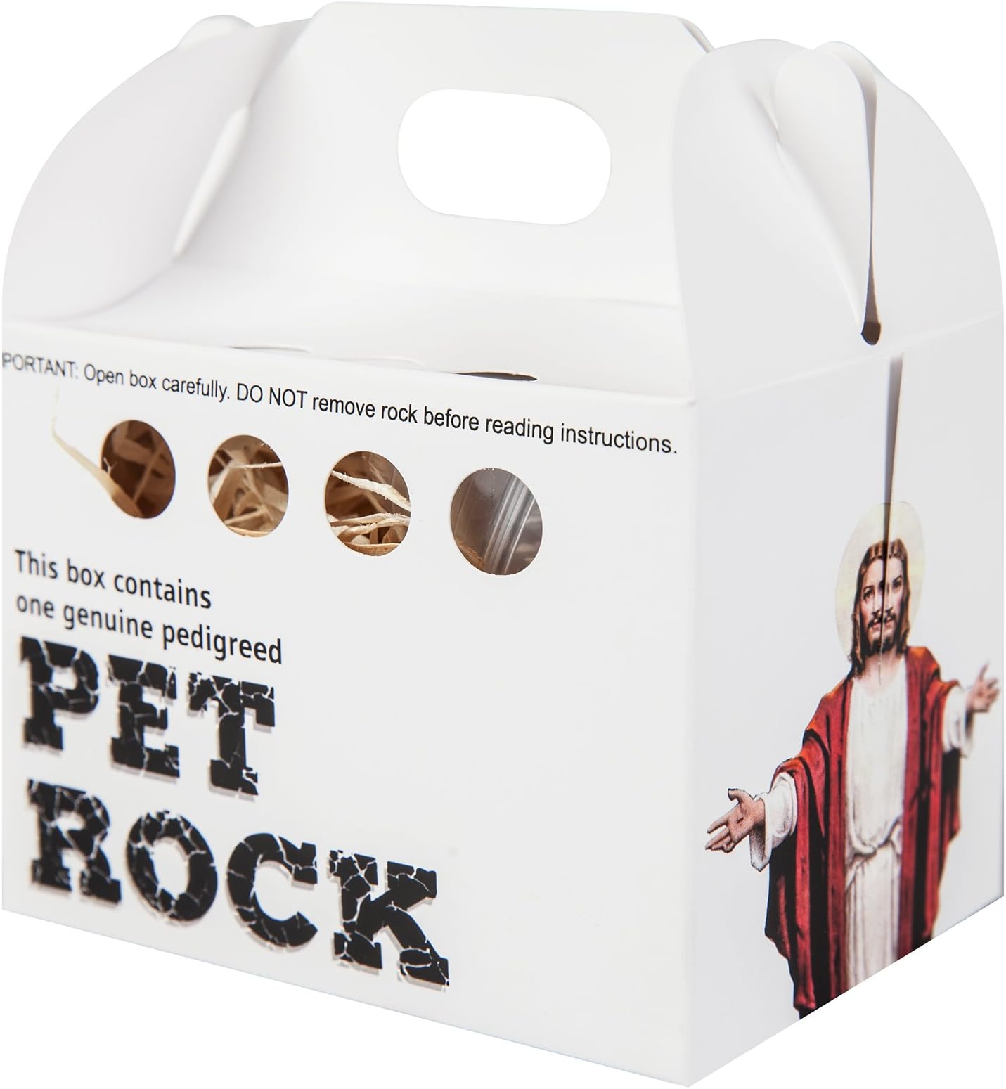 Novelty Joke Jesus Pet Rock with Walking Leash