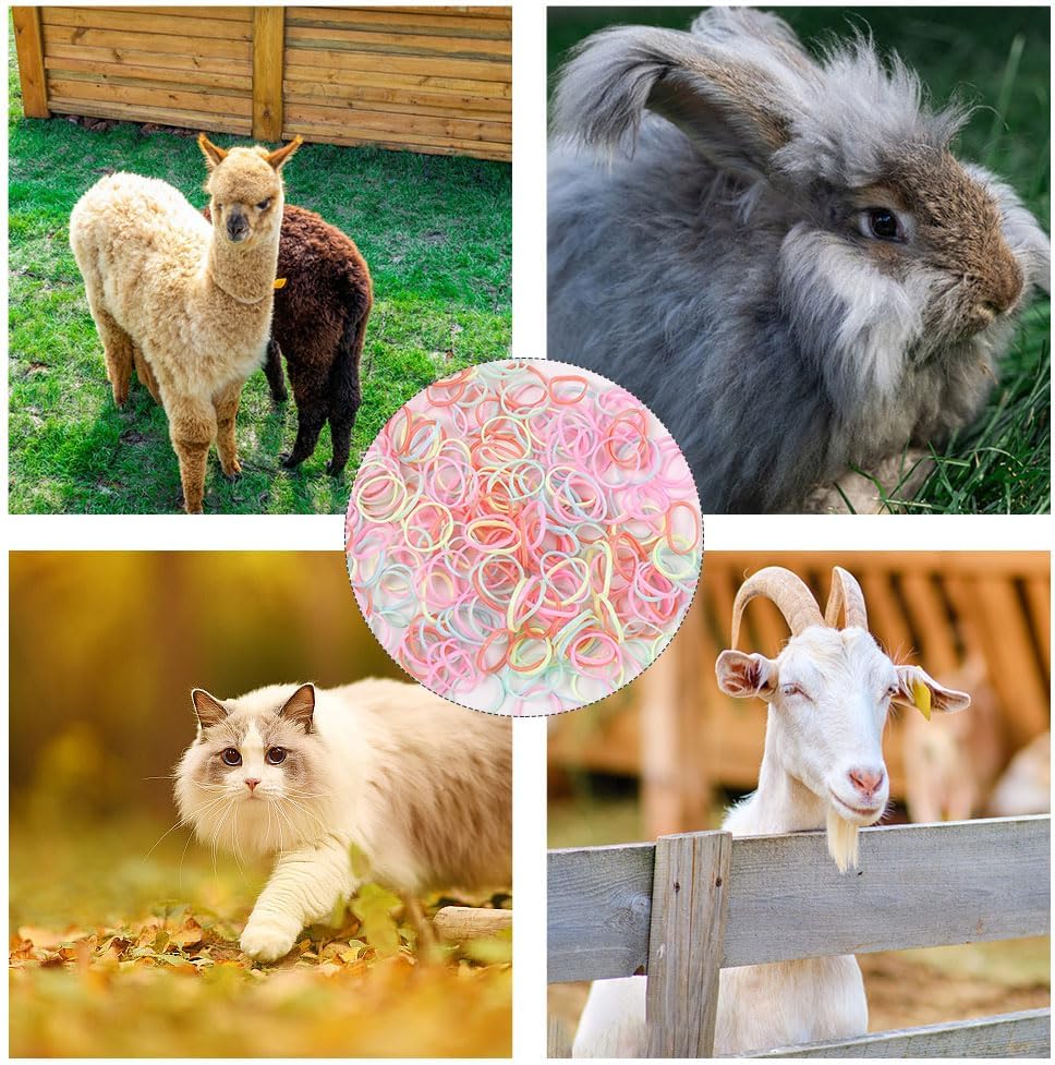 1000PC Hair Gummies, Dog Elastic Bands Bundles, Mini Small Hair Ties, Dog Hair Accessories, with Hair Band Cutter, Beauty Accessories 8