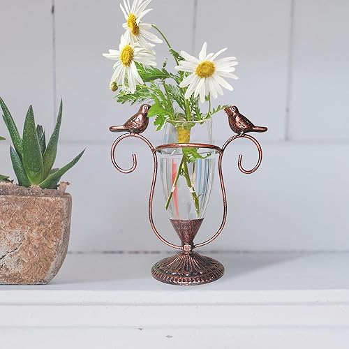 Miniatura 5 de POXOHO Terrario para plantas de escritorio, jarrón de propagación de vidrio de hierro para pájaros, macetas de propagación con marco de metal