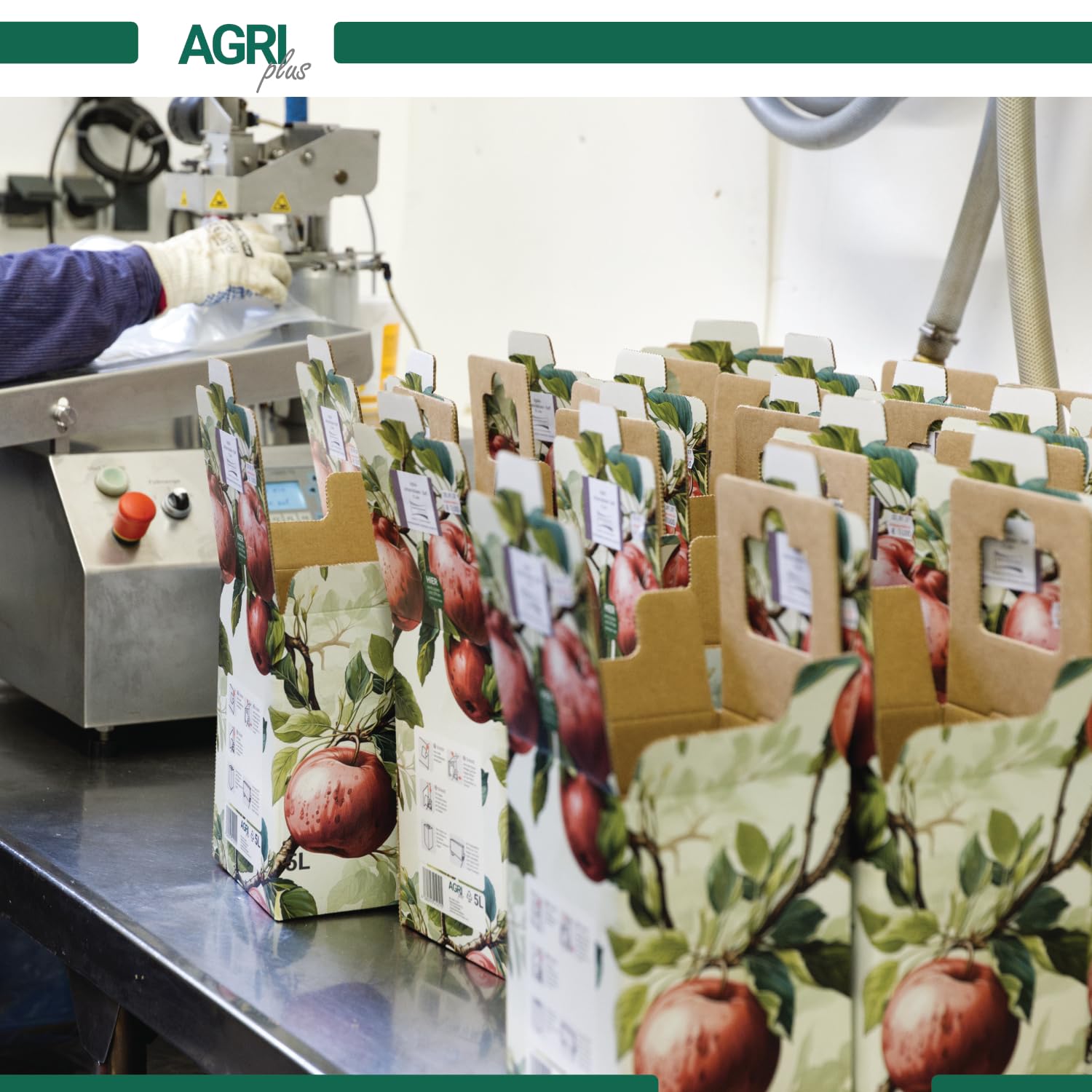 AGRI plus Karton für Bag-in-Box Beutel I 5 Liter I 50 Stück I Ohne Beutel I Hochwertige Karton-Box mit Rote-Äpfel-Motiv I Bis zu 40 x wiederverwendbar I Bag-in-Box für Apfelsaft, Saft & Wein