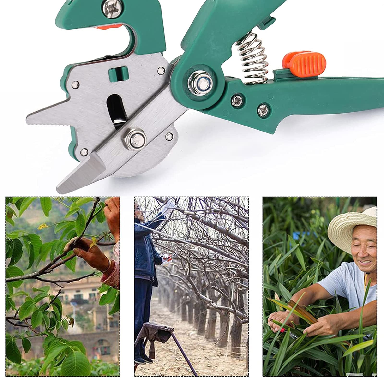 Outils de Greffe Professionnels, 2 en 1 Ciseaux à Greffer de Jardin Professionnel avec 2 Lames Supplémentaires et 3 Rubans à Greffer pour Élagage et Greffage, Arbres, Plantes, Branches,Style2