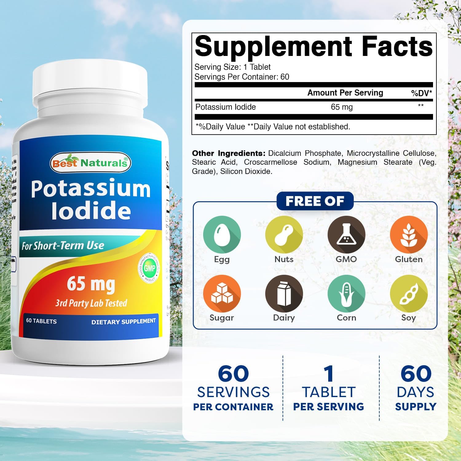 Best Naturals Potassium Iodide 65 mg - Dietary Supplement, 60 Tablets (60 Count (Pack of 1)) (6)