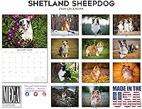 Vista 1323 de Razas de Perros 2017