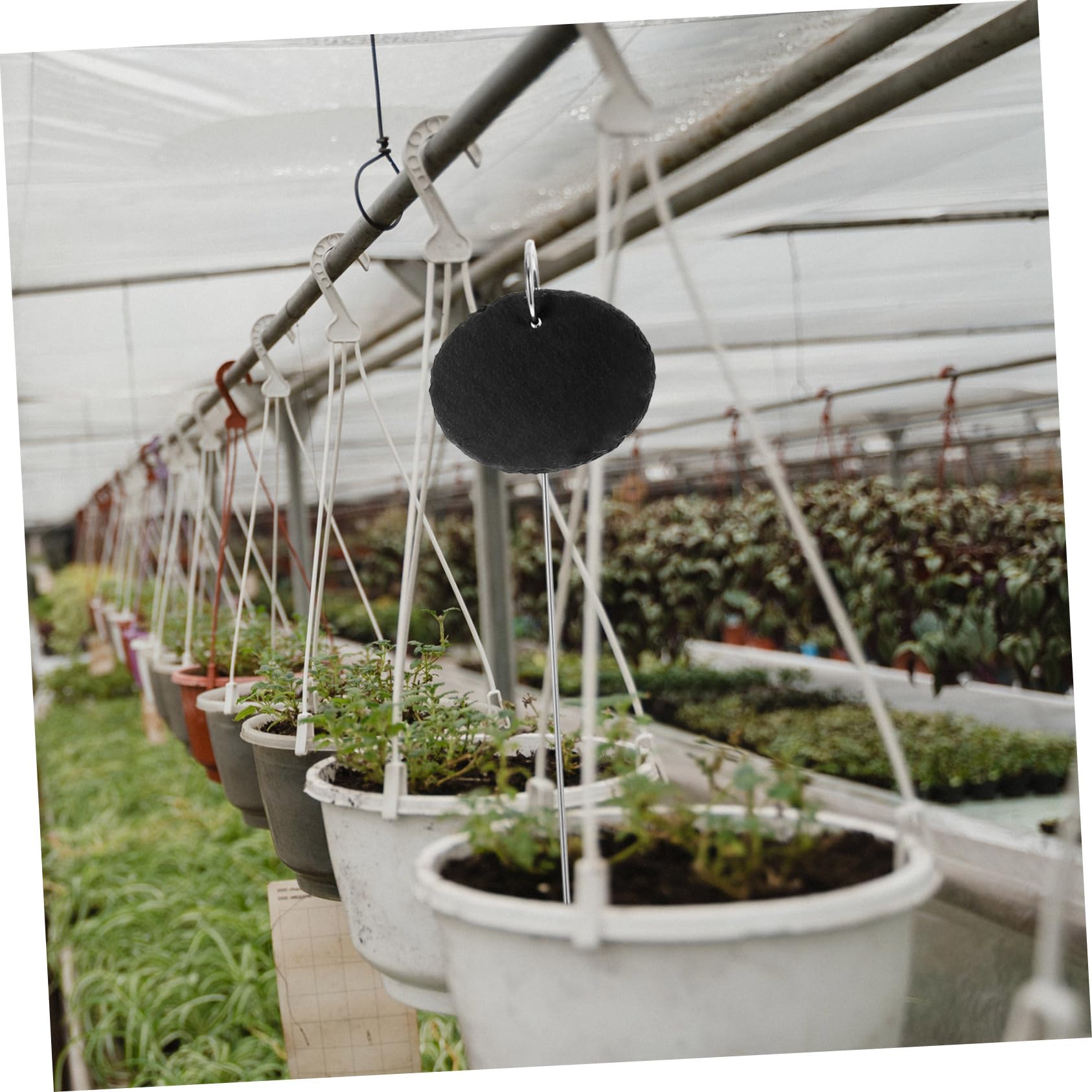 BESPORTBLE 10pezzi Etichette Per Piante e Inossidabile Tag Identificativi Per Giardino e Piante Vaso Facili Da Scrivere e Portatili Per Giardinaggio