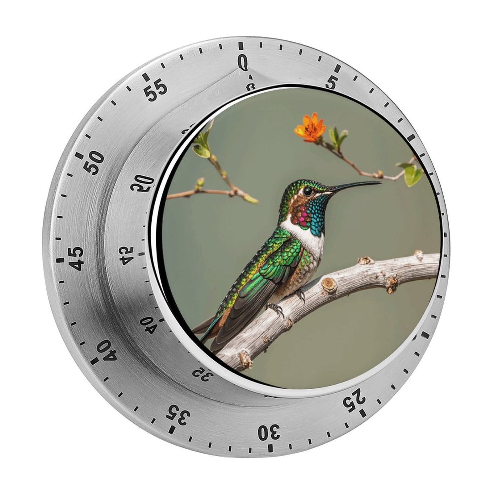 A Hummingbird Kitchen Timers Magnetic Back Manual Countdown Timers for Classroom Home Gym Tanning