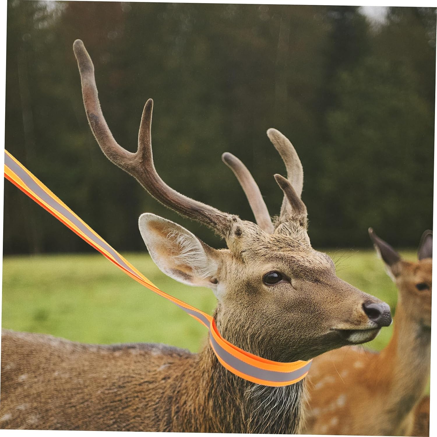 Adjustable Sturdy Nylon Deer Carrier Rope for Outdoor Dragging Ergonomic -Slip Handle Lightweight Durable Hunting Accessory for of Game