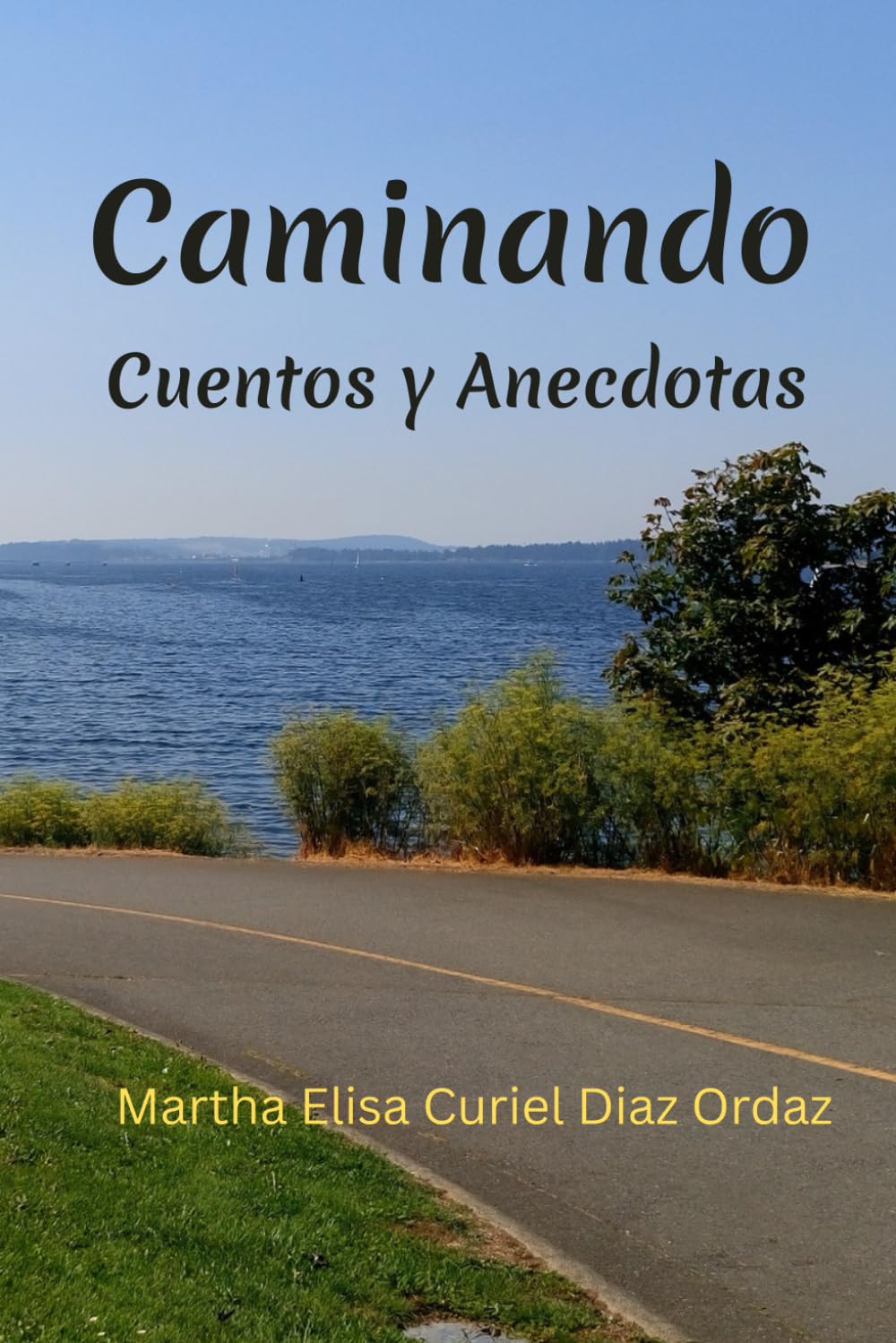 Caminando: Cuentos y Anécdotas (Spanish Edition)      Paperback – June 17, 2025