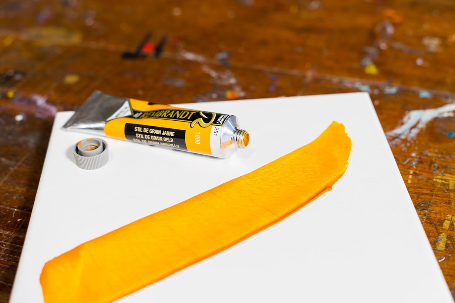 Rembrandt Artist's Oil Colors stil de grain yellow 40 ml 251