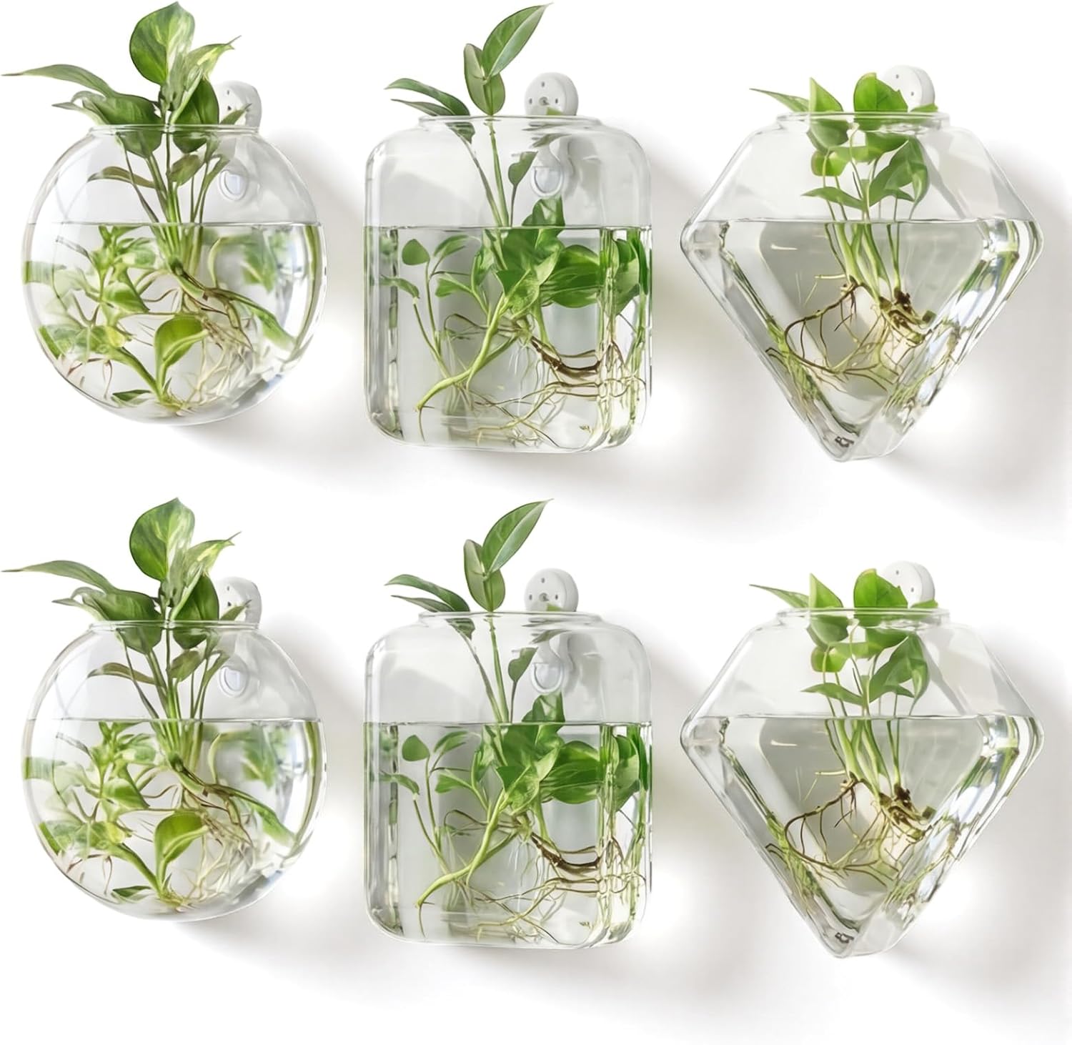 LemonRoad 6 Pcs Wall Hanging Glass Wall Hanging Planter Propagation Station Terrariums Clear Glass Vase Container for Hydroponic Plant Home Office Living Room Bathroom Garden Decor