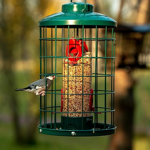 Miniatura 7 de Comedero para pájaros enjaulados para pájaros silvestres en el exterior, grande, a prueba de ardillas, tubo colgante de metal, 4 puertos de