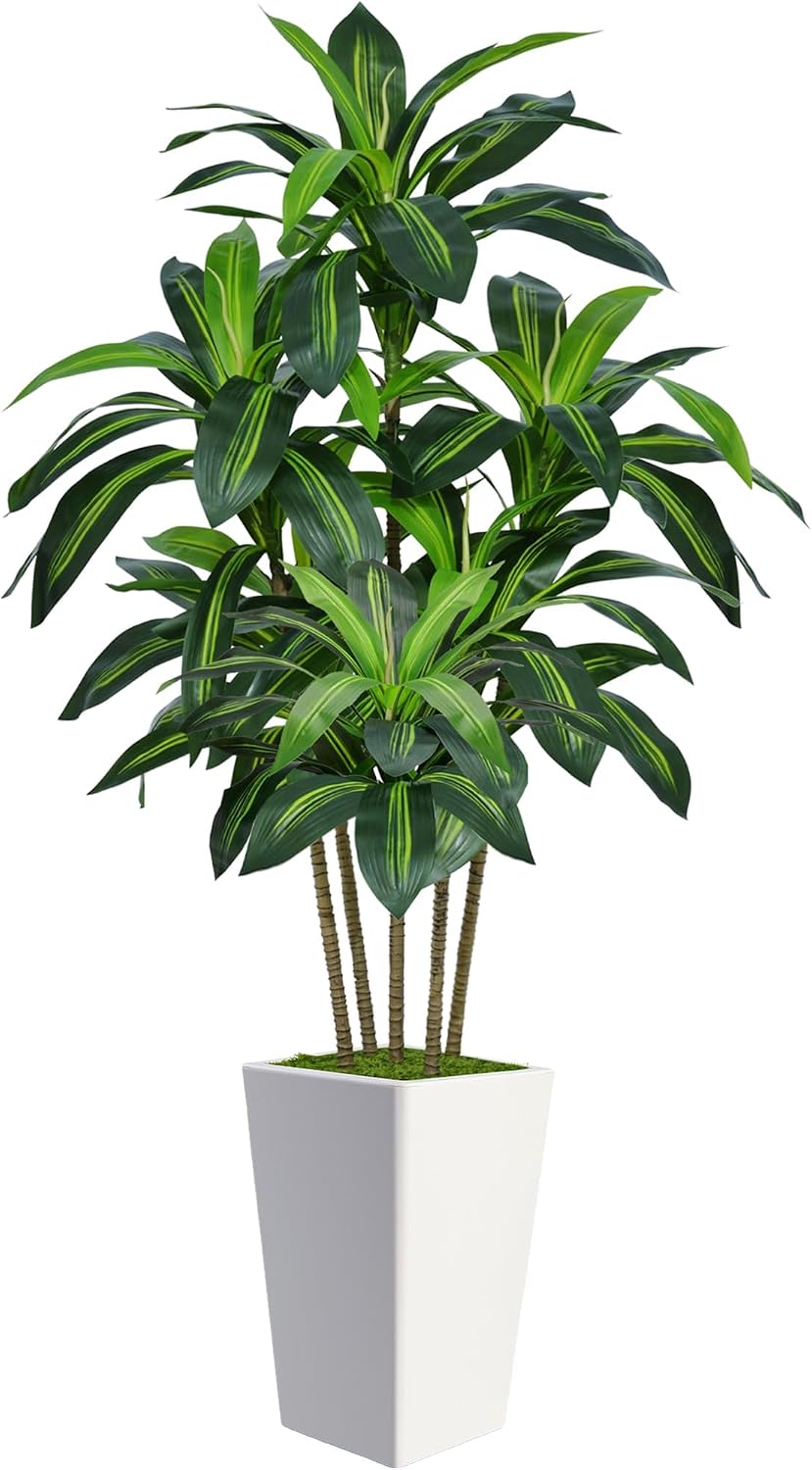 5FT Artificial Dracaena Tree with White Tall Planter, Lifelike 5 Trunks Leaves Artificial Plants Indoor, Large Fake Tree for Home Office Living Room Porch Patio Decor Housewarming