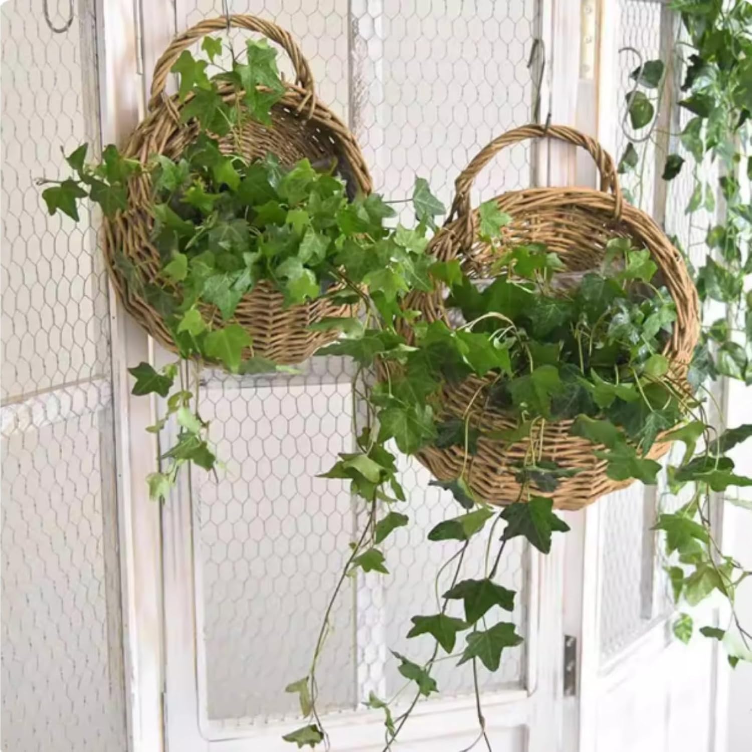 2 Pack Hanging Wicker Wall Baskets, Hand-Woven Rattan Hanging Planter Baskets with Hooks, Boho Wall Mounted Flower Baskets for Indoor Plants, Outdoor Garden (𝐏𝐥𝐚𝐧𝐭 𝐍𝐨𝐭 𝐈𝐧𝐜𝐥𝐮𝐝𝐞𝐝)