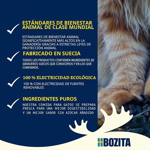 Foto 5 de 6 de BOZITA Mousse Wild Mix 12 x 85 g