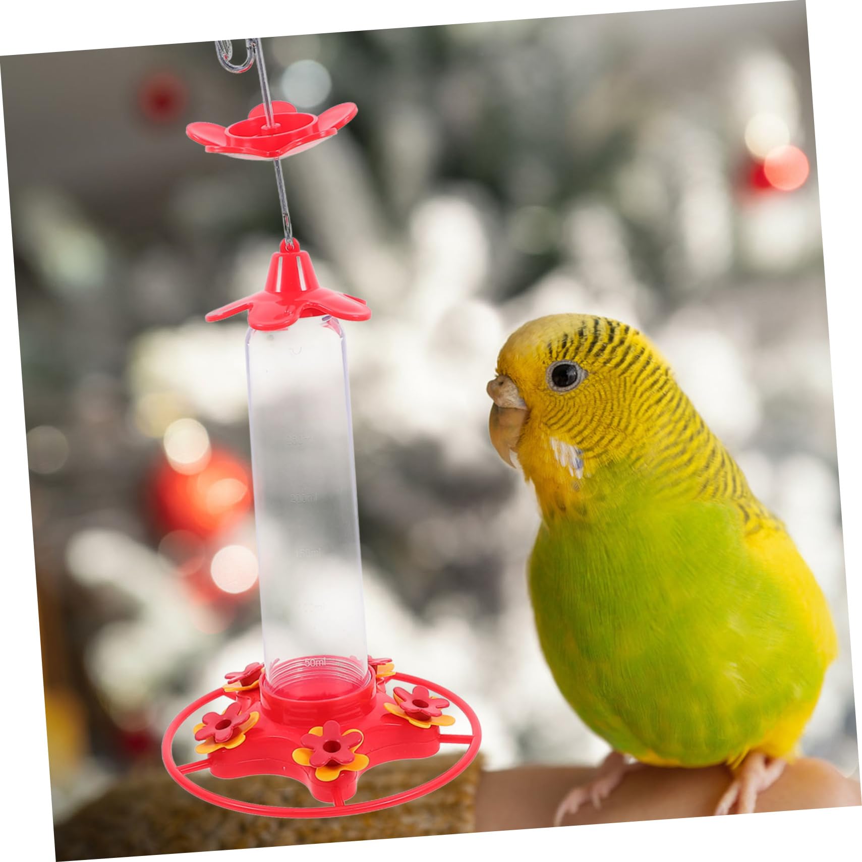 2pezzi Mangiatoia per Colibrì Sospesa Mangiatoia Decorativa per Uccelli Contenitore per Cibo per Uccelli da Giardino