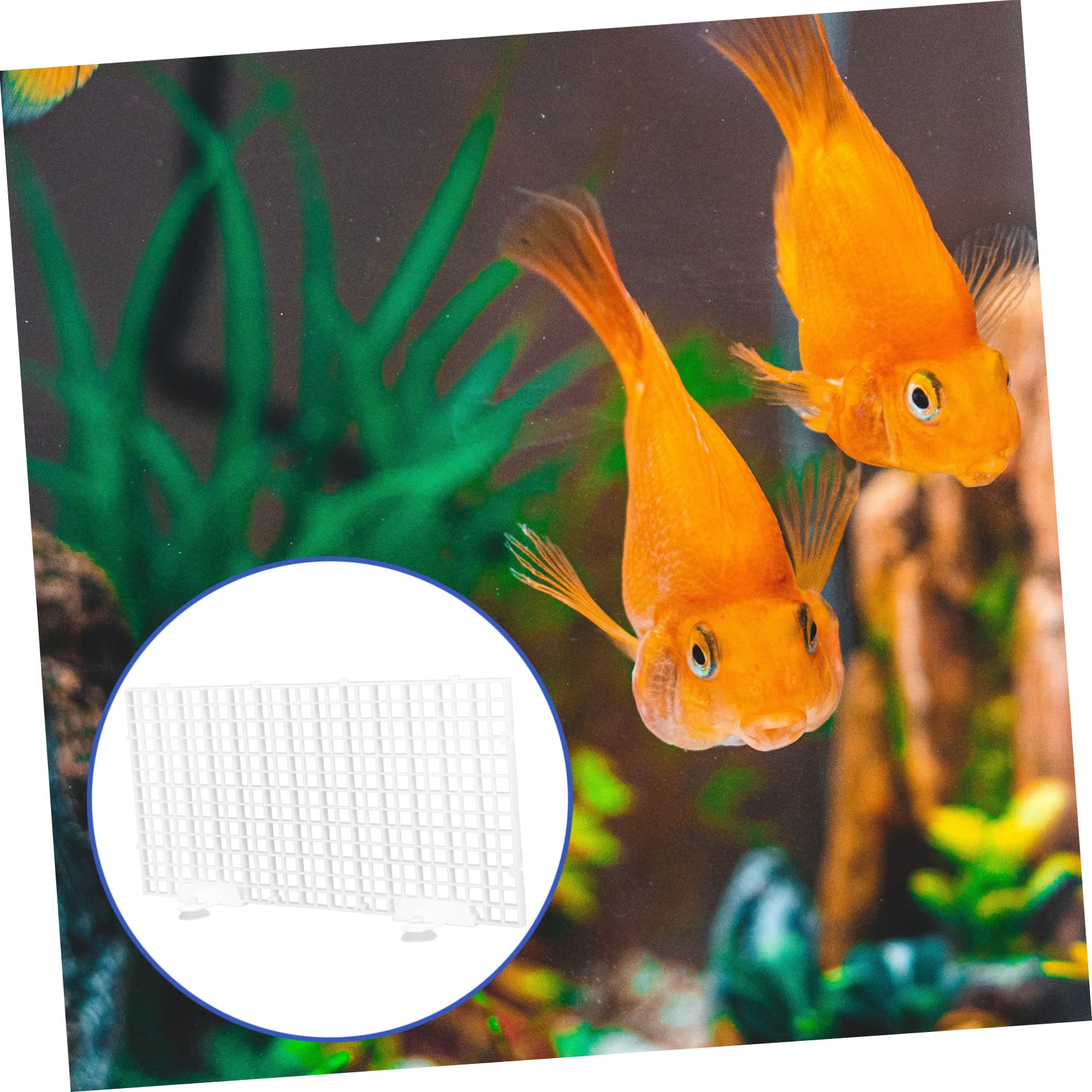 BESPORTBLE 3 Juegos Placa de Aislamiento de Tanque de Peces pecera de plastico Bandeja divisoria de Rejilla de plástico Placa de separación de plástico Placas filtrantes Acuario