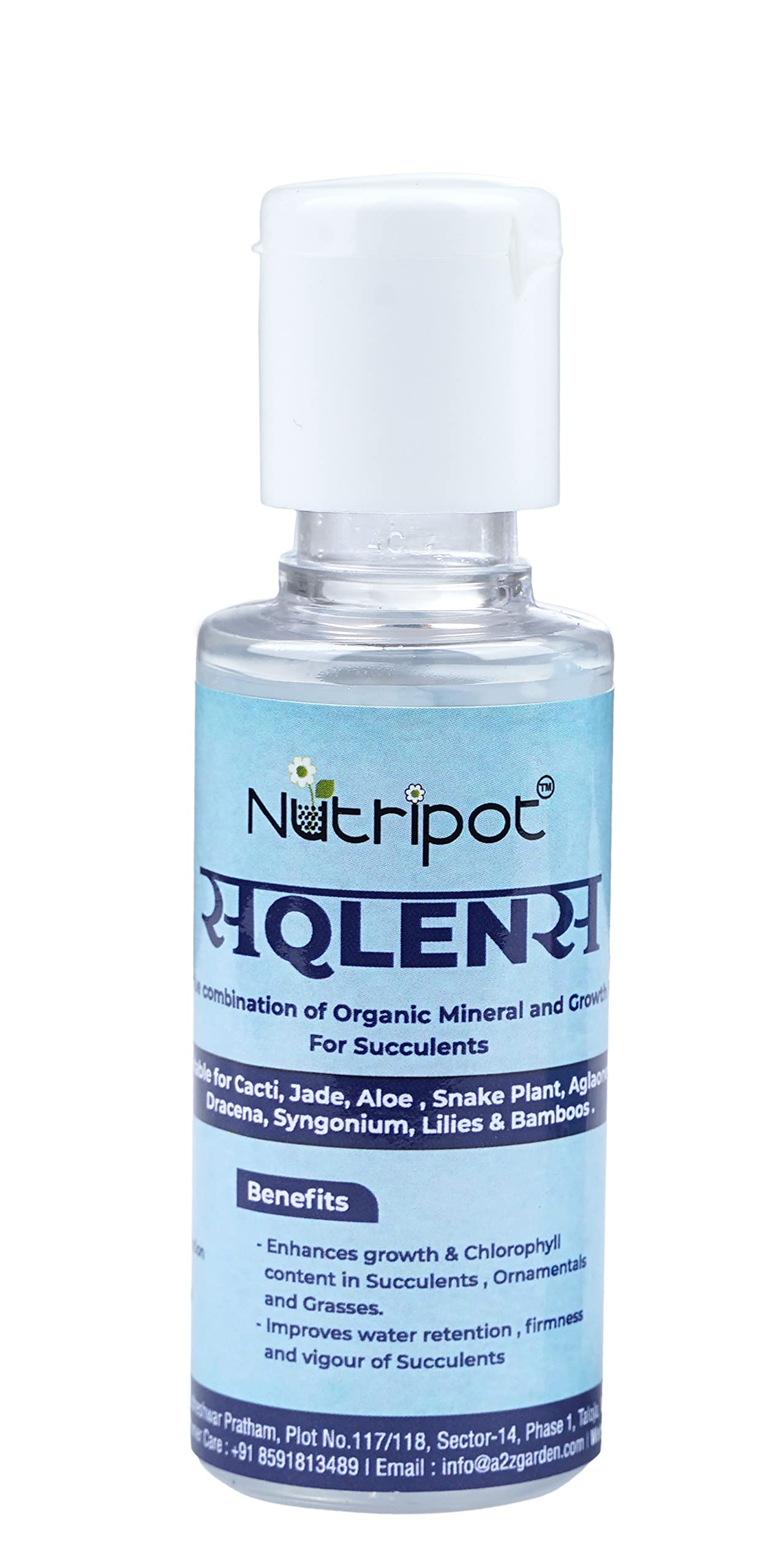 Nutripot Succulence 50ml bottle. Mix 2-3 Ml/Lit water and spray on Leaves of Jade/Snake Plant/Cactus/Aloe/Bamboos. Dracaena. Money Plant, Aglonema, Peace lily, Etc (B0BMQ683QM) Amazon Price History, Amazon Price Tracker