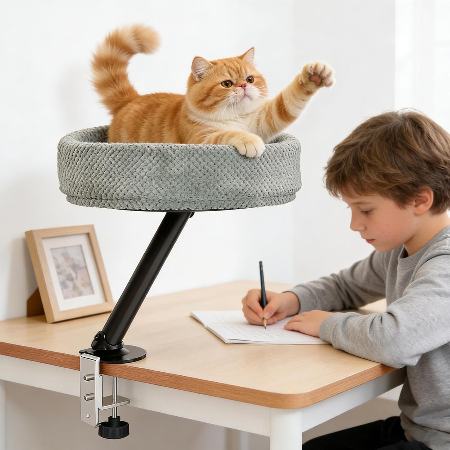 デスクトップ用猫ベッド 机の上専用ペット寝床,子猫がくつろぐトンネル型デスクトップネスト | デスクに取り付け可能な猫ベッド - 子