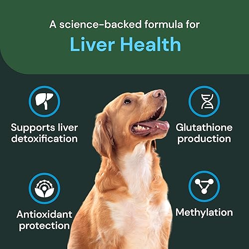 Miniatura 4 de VetriScience Masticables veterinarios para la salud del hígado - Suplemento para el cuidado del hígado canino para apoyo de desintoxicación -