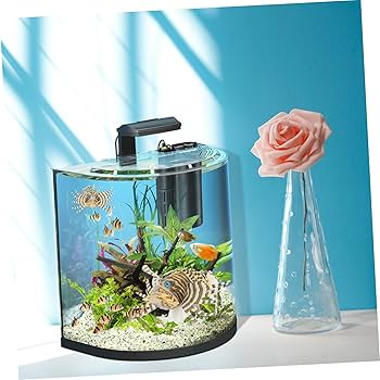 600ｘ450ｘ450mm 水槽 クリアシリコン 未使用品 Amazon | OATIPHO シリコン製水槽用魚装飾 人工魚オーナメント