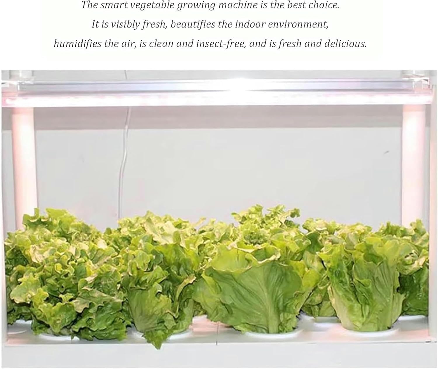 AMNOOL Herb Garden kit,hydroponic Growing Kits & Systems,Hydroponics Tower with LED Grow Light,Indoor Garden hydroponic Growing System,for Herbs, Fruits and Vegetables. -1PC