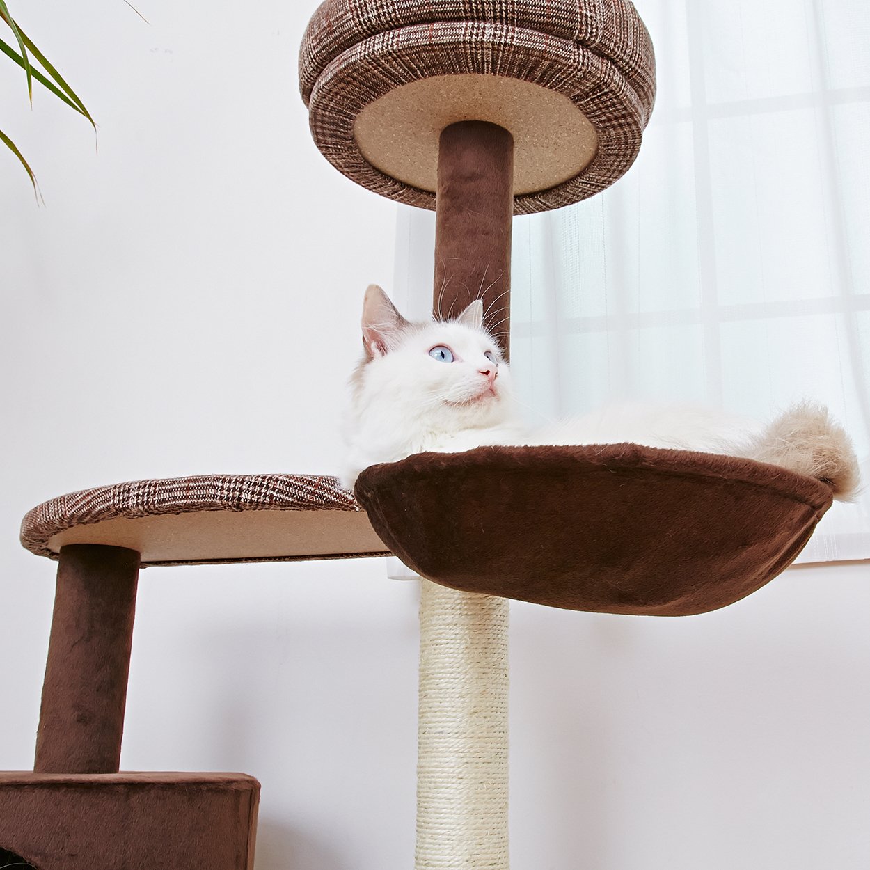 Amazon.co.jp: アドメイト (ADD. MATE) 猫のおあそびポールチェック 
