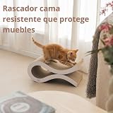 Ver la foto 4