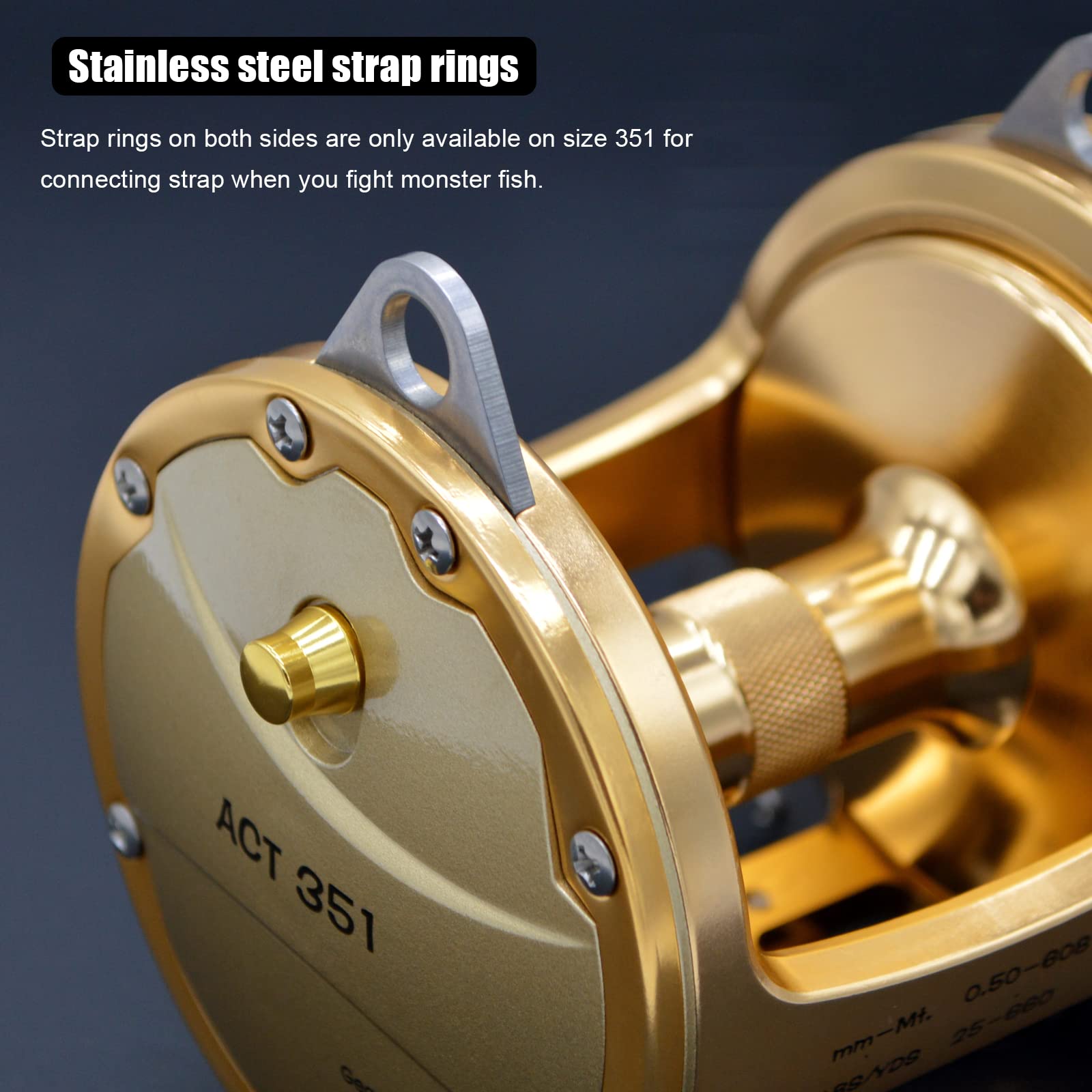 PENNELLO MANICO IN LEGNO: Pennelli Rulli E Accessori / PENNELLO MANICO IN LEGNO | Mondo Mare - Foto 6