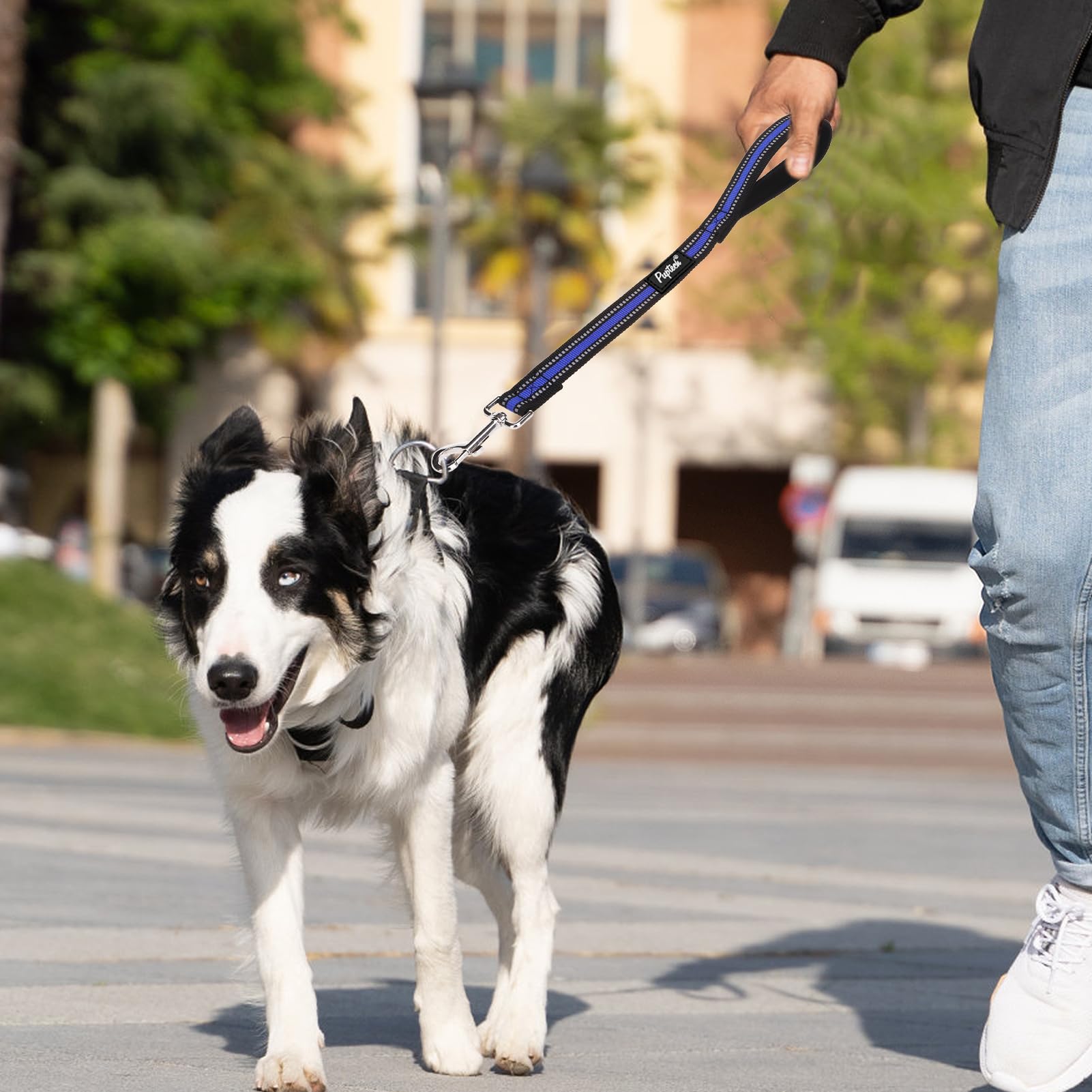 PUPTECK Reflektierende kurze Hundeleinen, 3 Stück, für Spaziergänge und Training
