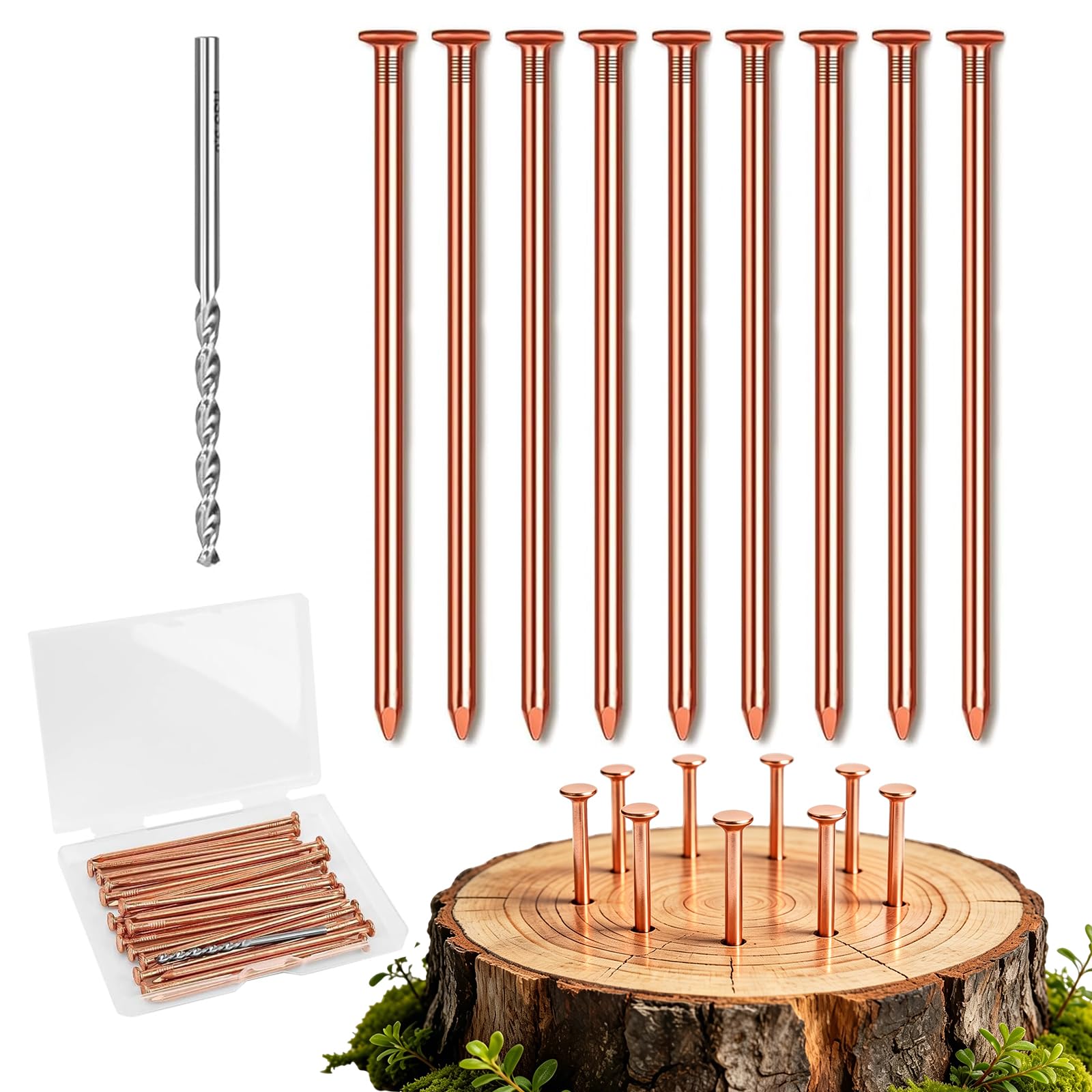 WORUIB 10 Copper Nails Tree Stump Killer Kit, Steel Nails Included