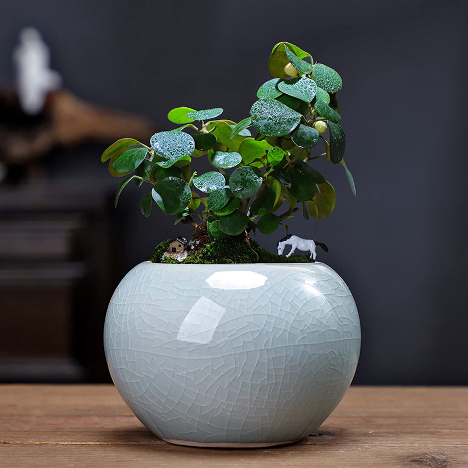 Vasi da Giardino Vaso da Fiori Crack, Fioriera in Ceramica per Piante da Esterno per Interni, Vasi da Giardinaggio con Foro di Drenaggio per Ufficio sul Balcone di casa