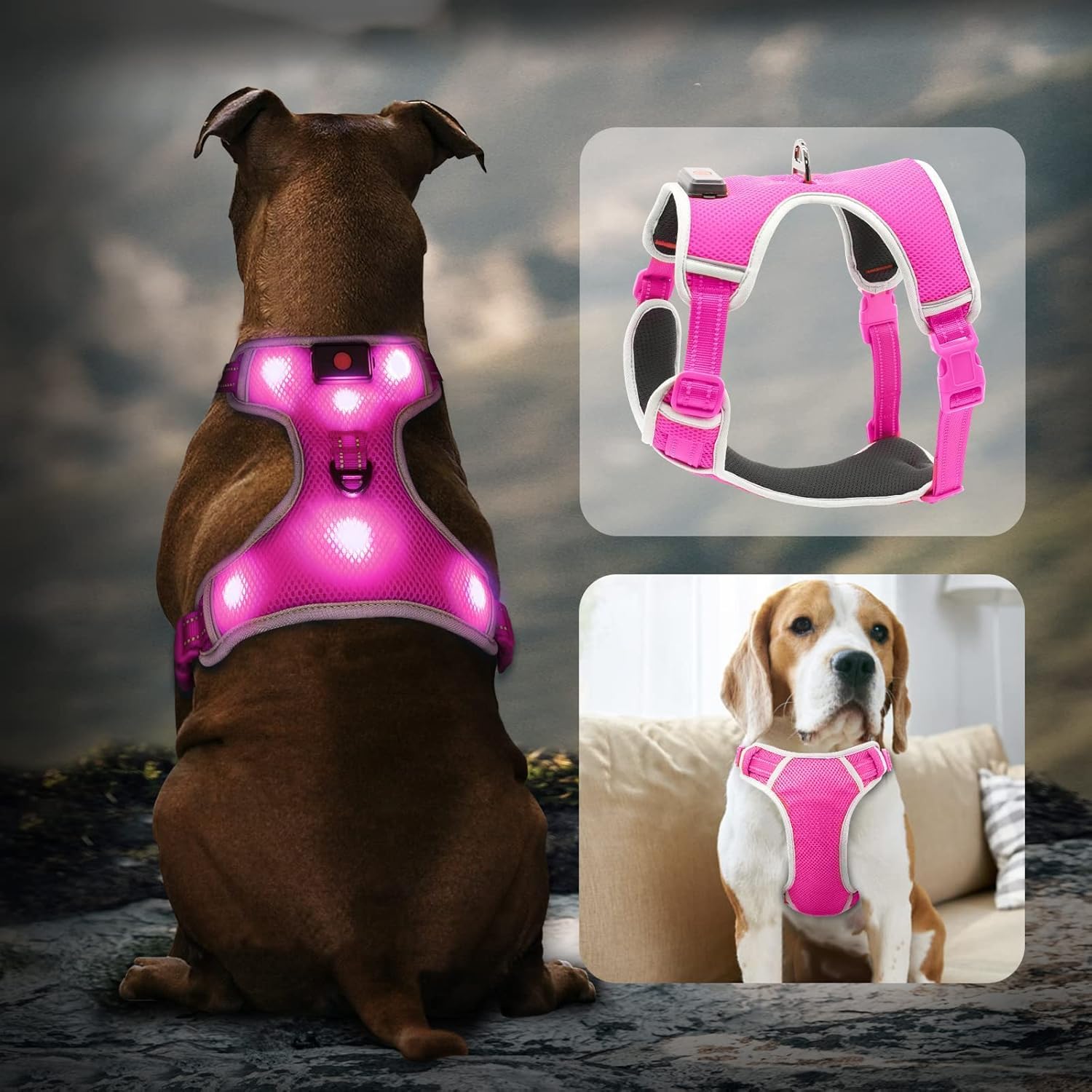 Light Up Dog Harness - BSEEN No-Pull LED Dog Harness Rechargeable - Glow in the Dark Pet Walking Vest for Small Dogs, Reflective Puppy Safety Lights for Night Walking (Pink, Small)