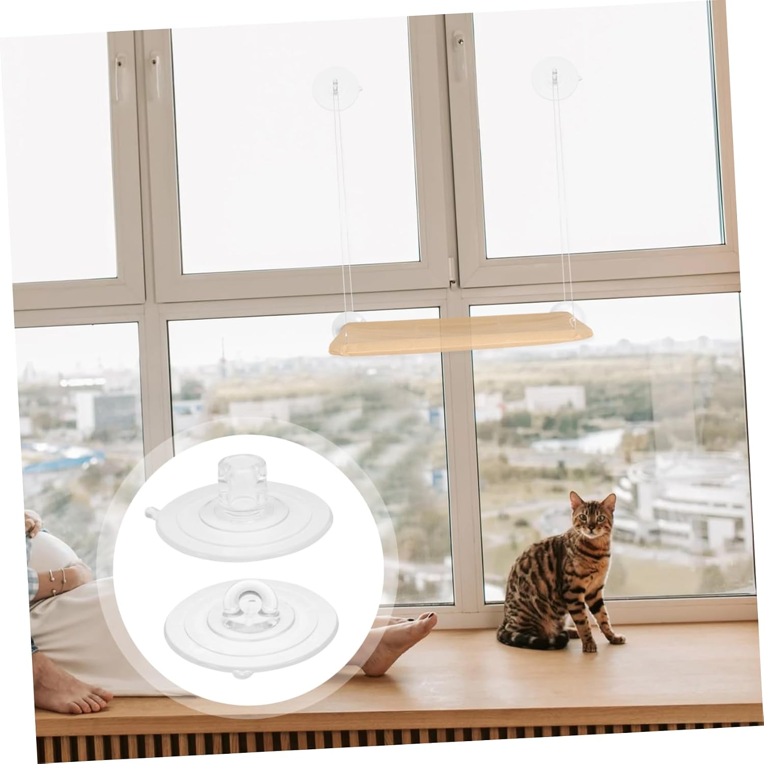 SUPVOX 8pcs Cat Window Perch Suction Cups High-Strength Design for Secure Indoor Cat Resting Spot Smooth Surfaces for Windows and Walls