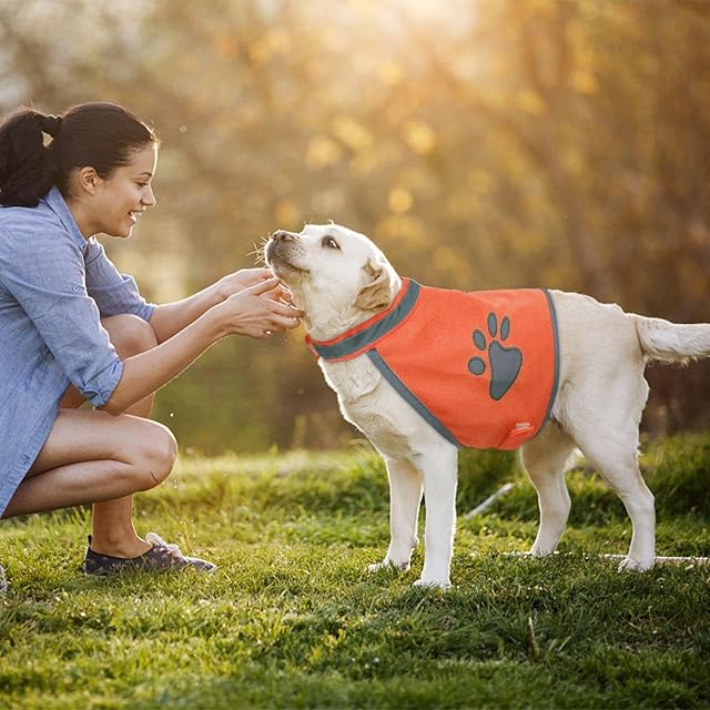 Foto 5 de 6 de HDGSAFD Ropa Reflectante para Perros, Chaleco De Seguridad para Viajes para Mascotas, Ropa para Mascotas
