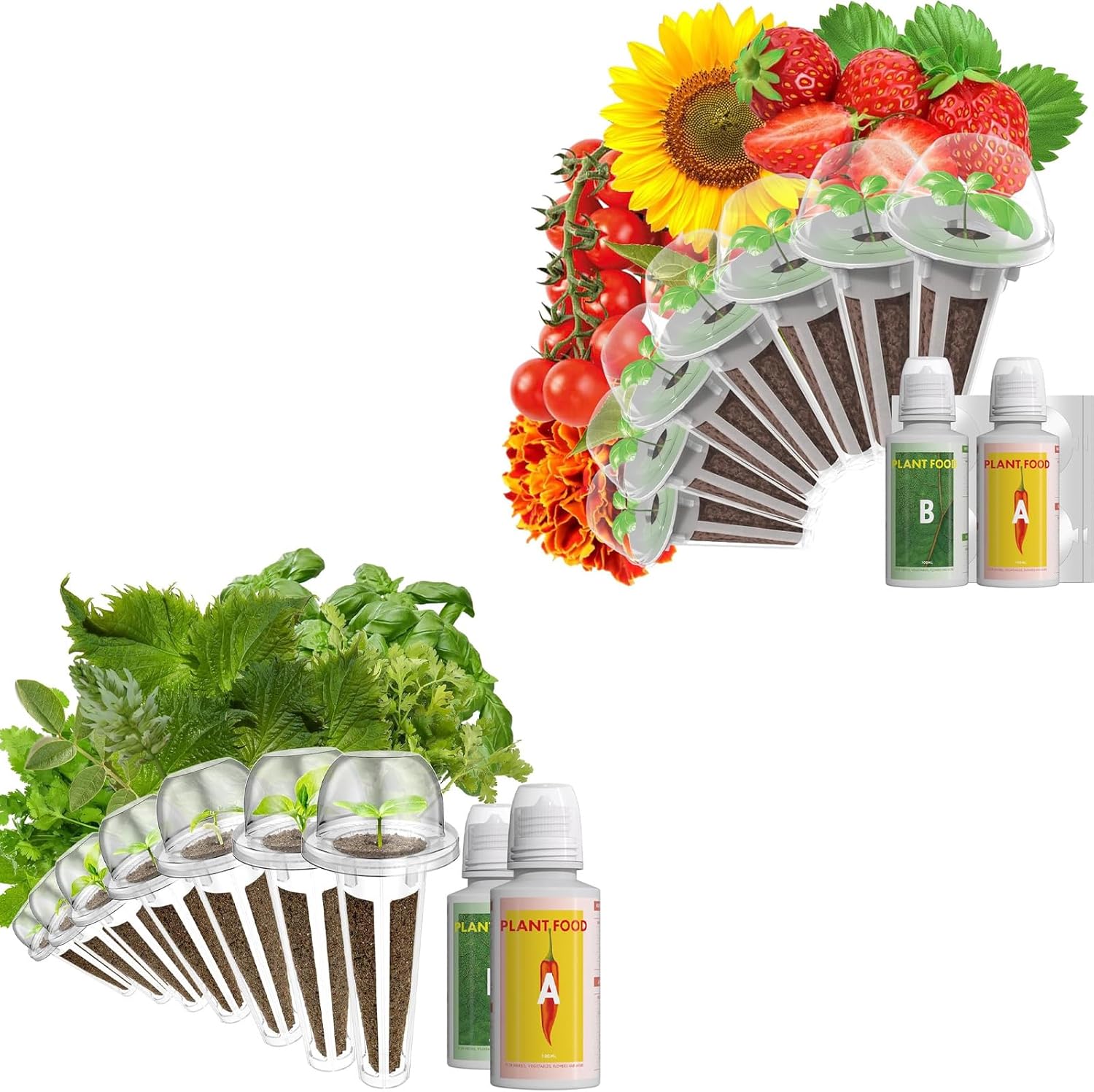 Green Herb Seed Pod Kits and Flower Seed Pod Kits