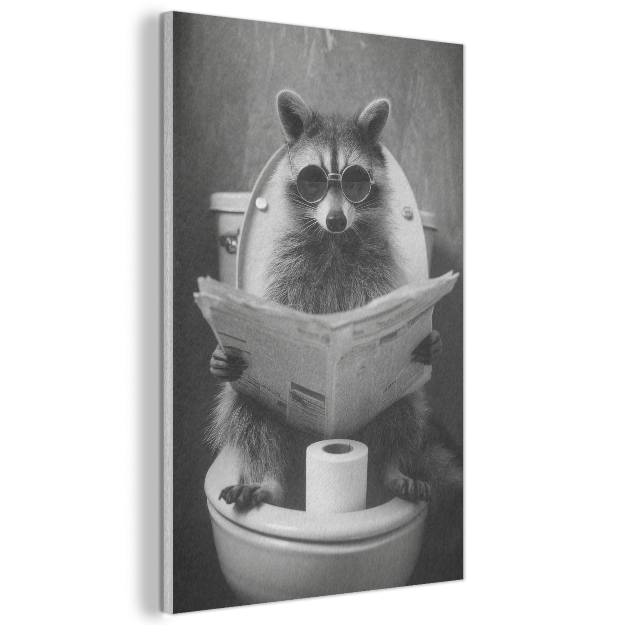 MuchoWow© Felt Panel 40x60 cm Framed Design Print Accent Interior Wallart Decoration Wall Art Newspaper - Raccoon - Toilet - Sunglasses