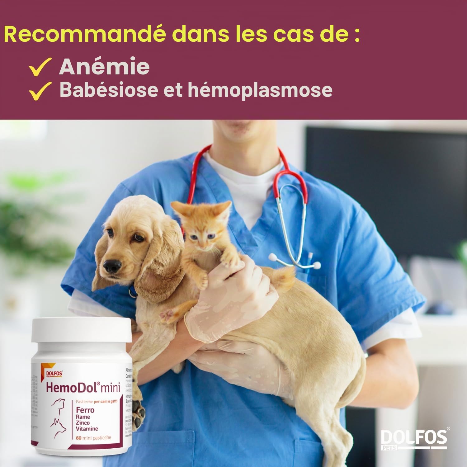 Pets Dolfos Hemodol 60 Mini comprimés - Support complémentaire pour chien et chat pour anémie - Formule avancée contre la carence en fer - Contient du fer, du cuivre zinc et des vitamines