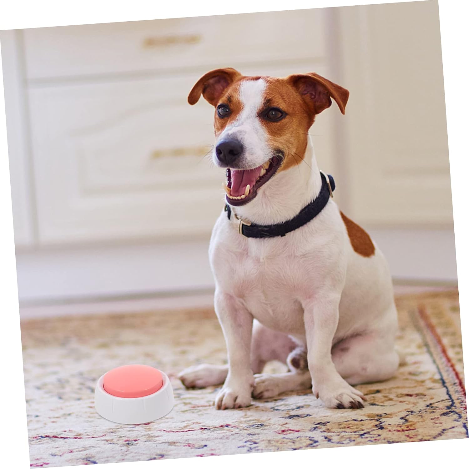 Sosoport 1pc Recordable Communication Button for Pets Sound Button for Dog Training and Interaction Re-recordable Talking for Pet Conversations Suitable for Dogs and Cats Pink No Batteries