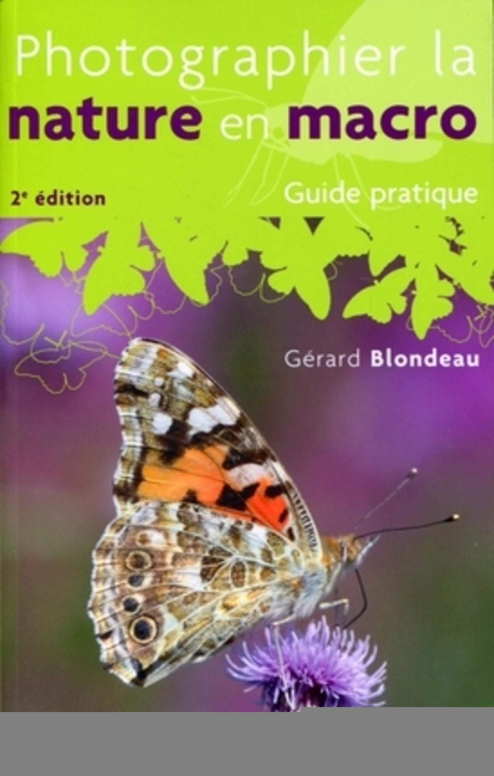 Photographier la nature en macro lors de vos balades en forêt