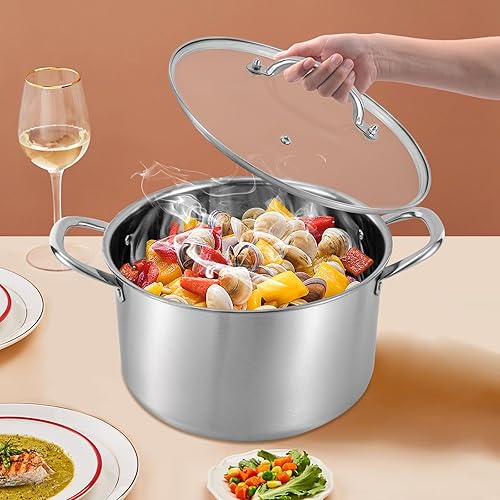 3.17 Quart Stainless Steel Stock Pot with Lid and Steaming Rack, Heavy Duty Pasta Soup Canning Pot Suitable for Induction Pot Induction Cookers Gas