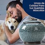 Ver la foto 4