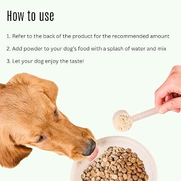 K9Power Young at Heart Senior Dog Supplement for Longevity & Vitality Supports Joints, Brain, Heart, Digestion, Skin & Energy Amino Acids, Vitamins, Minerals, CoQ10, Omega 3s, Turmeric